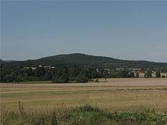 Olszak